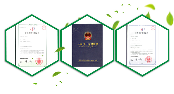 雛鷹計(jì)劃證書